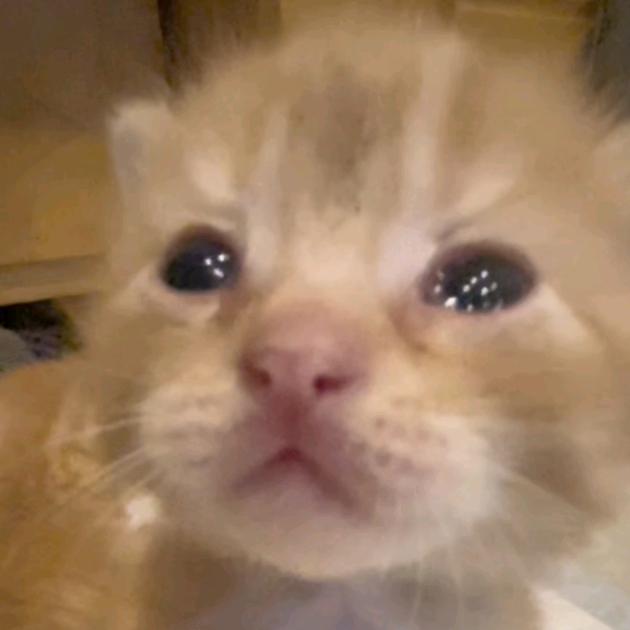73