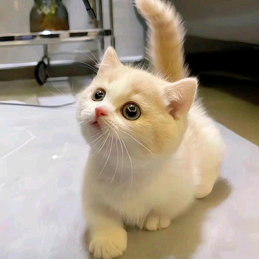 星宜好物