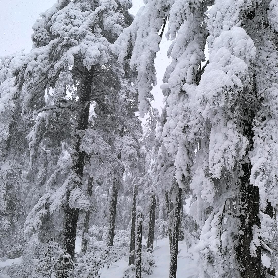 小淘气