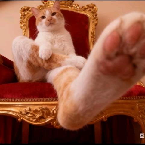 性感野猪～