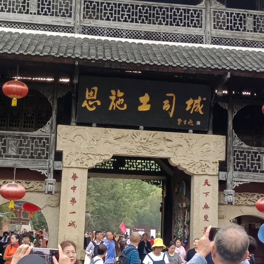 善良总是受伤！！bZ