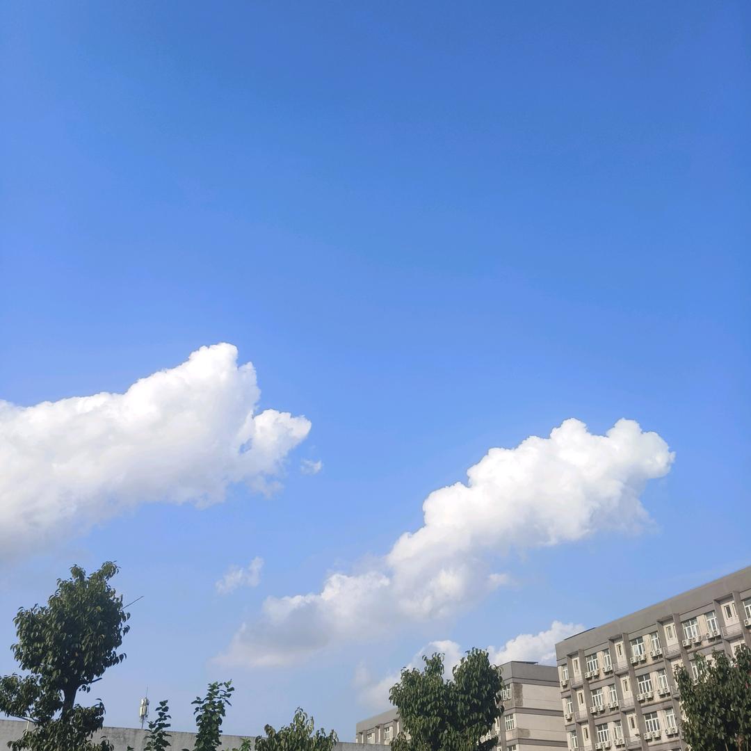 十万个阿弥陀佛