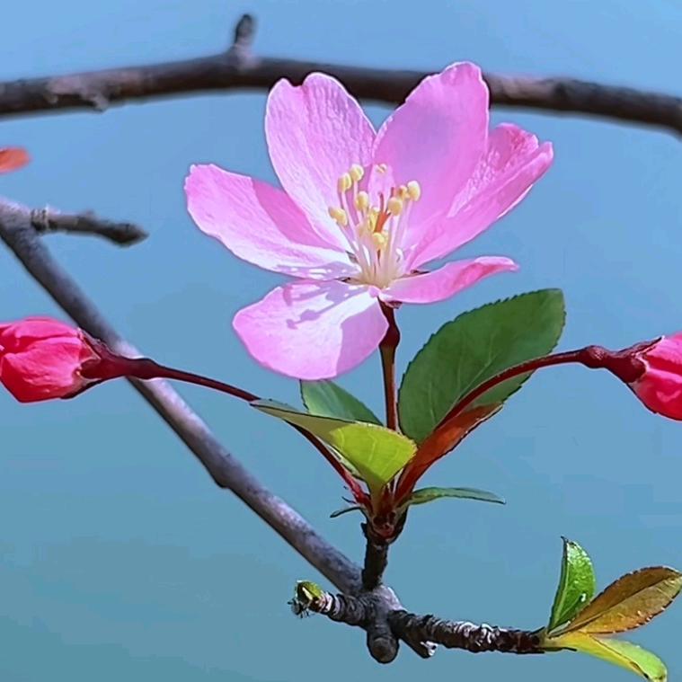 天意