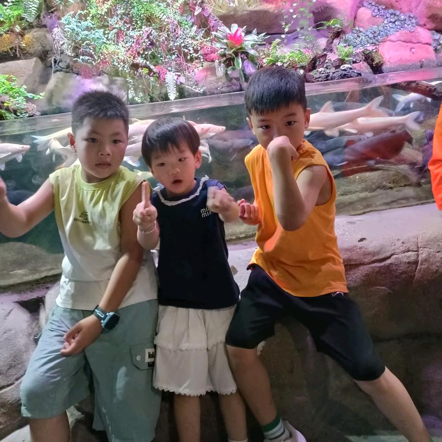 小熊爷爷