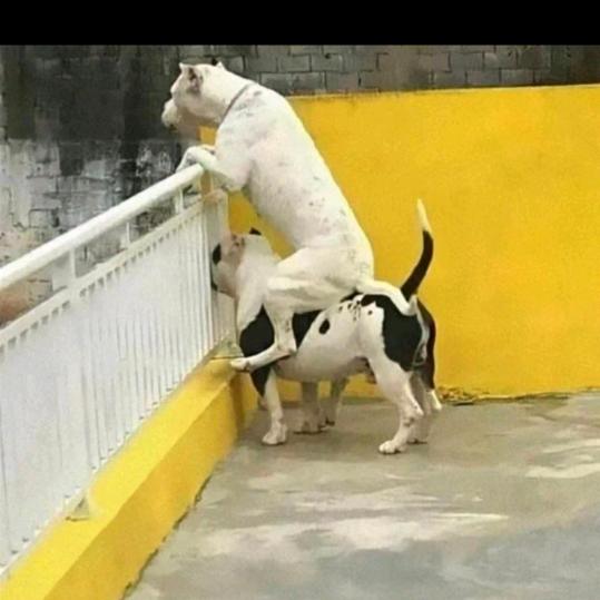 一懒众衫小！🌈