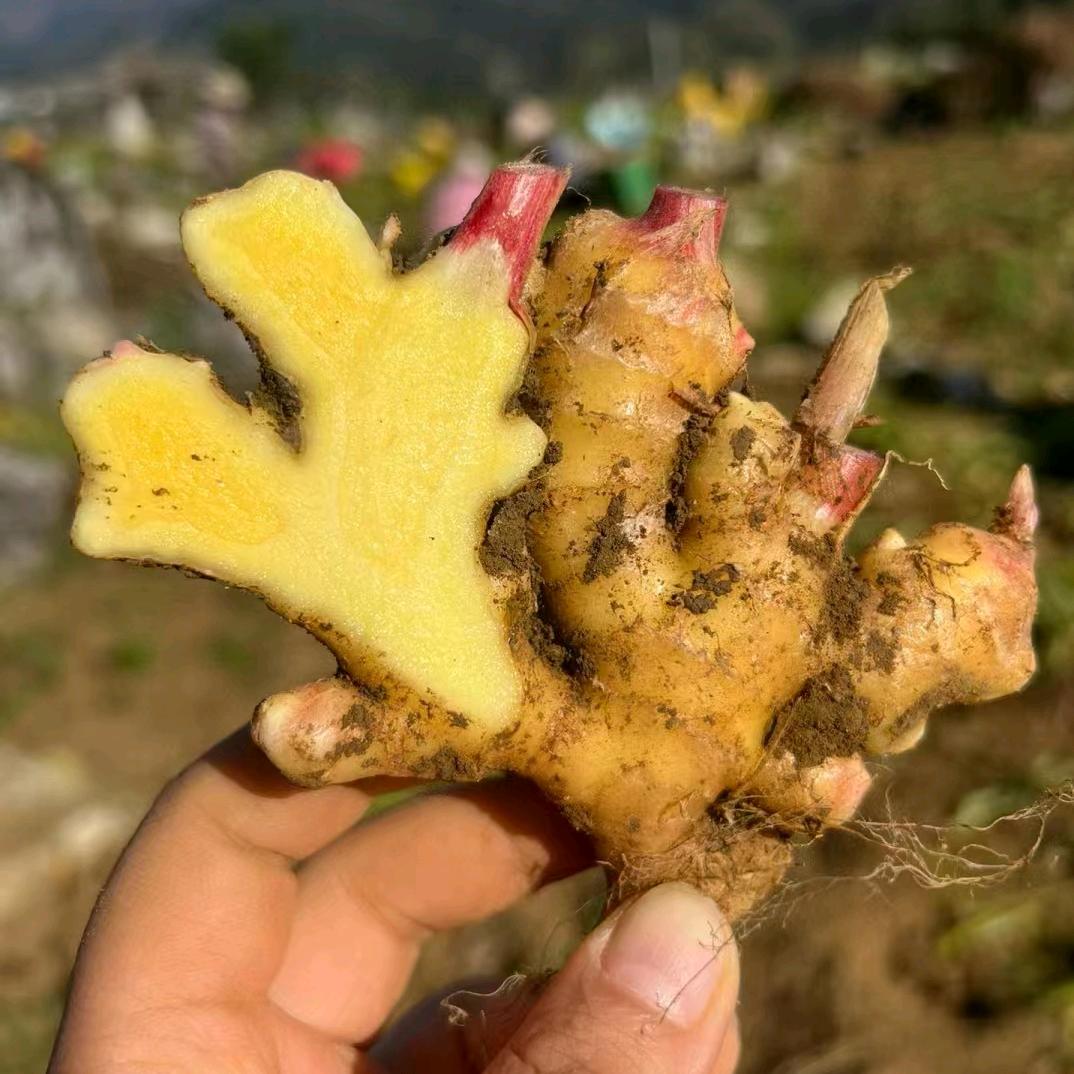 优选好物