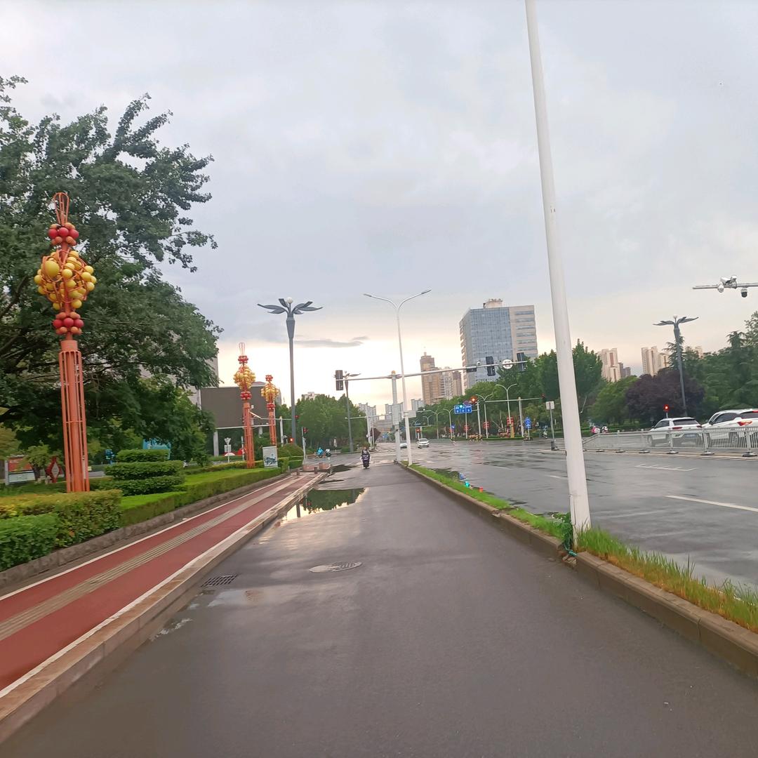⊙文@⊙