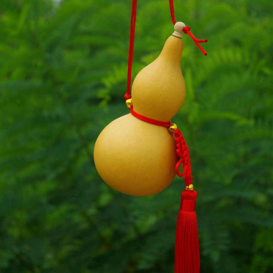 乐洋启行网络科技主管