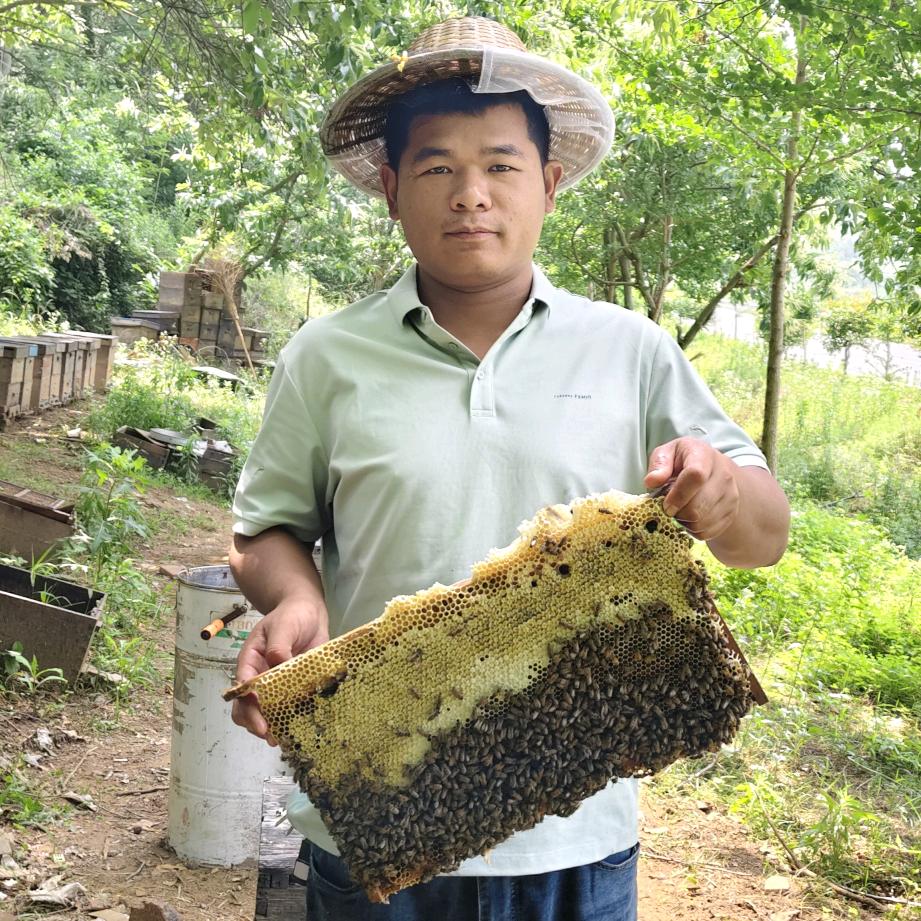 @弘农蜜蜂园（蜂小杨）