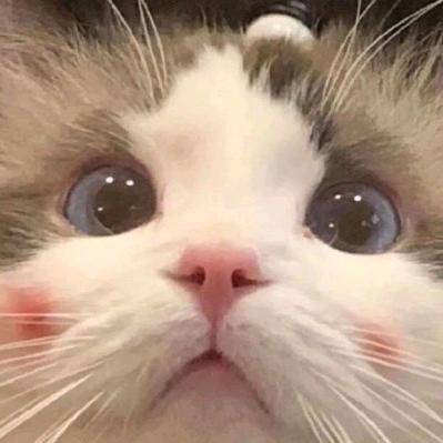 满天鑫