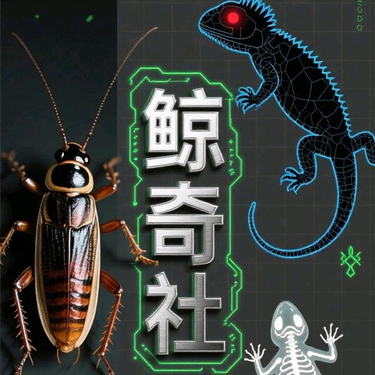 鲸奇社