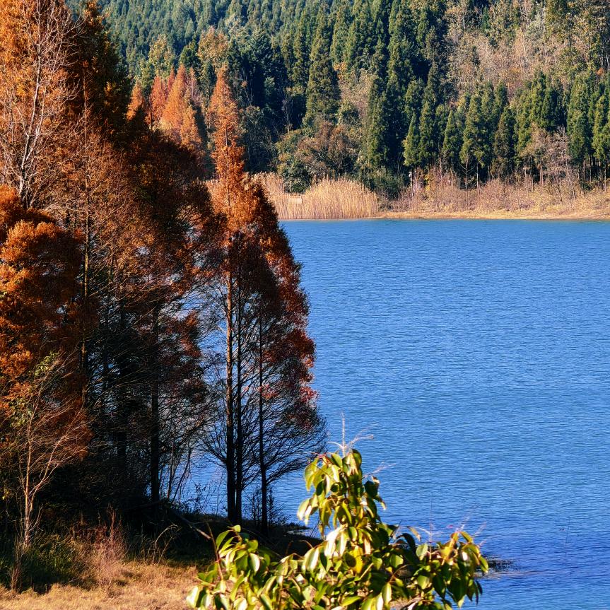 青柠学海