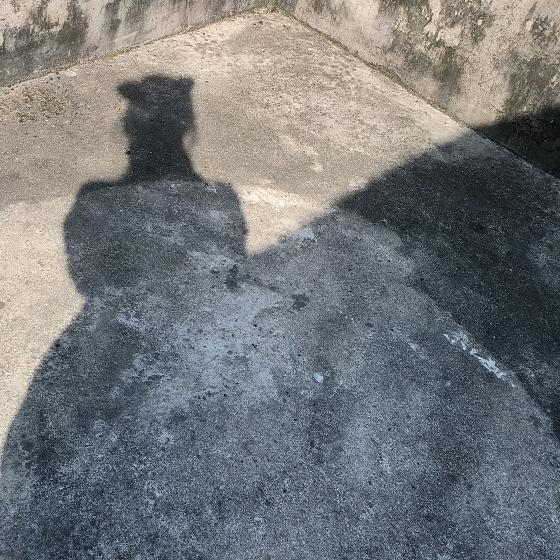 竹子