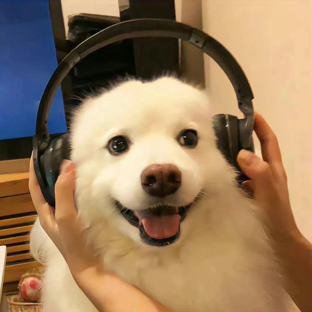 橙小白