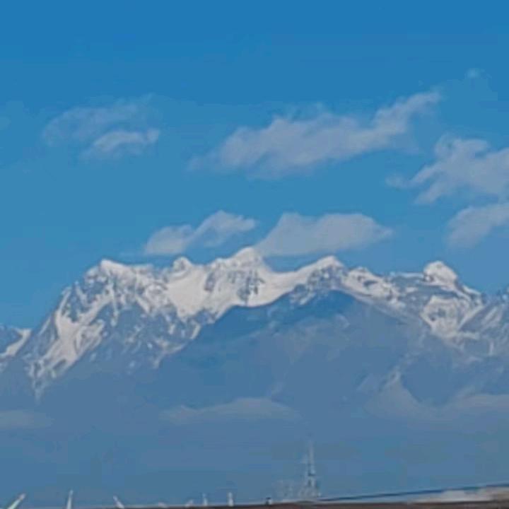 真爱永恒