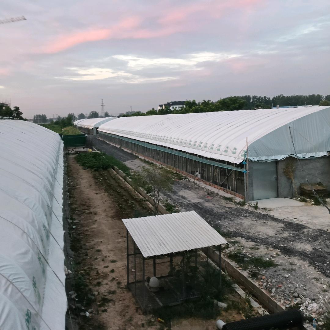 谢谢你,那么优秀还关注我