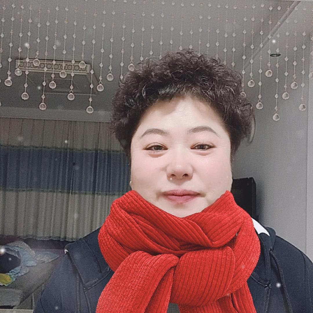 红梅镇小飞燕