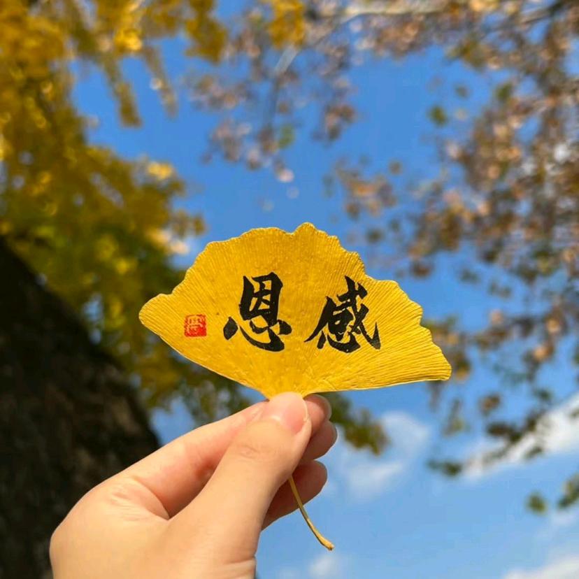 诗有远方吗