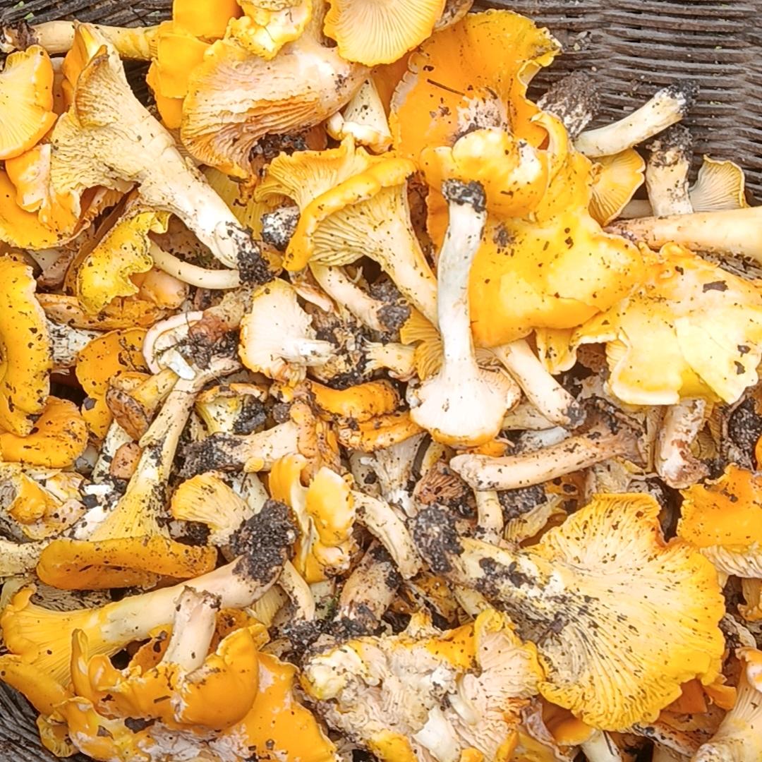 今生有缘