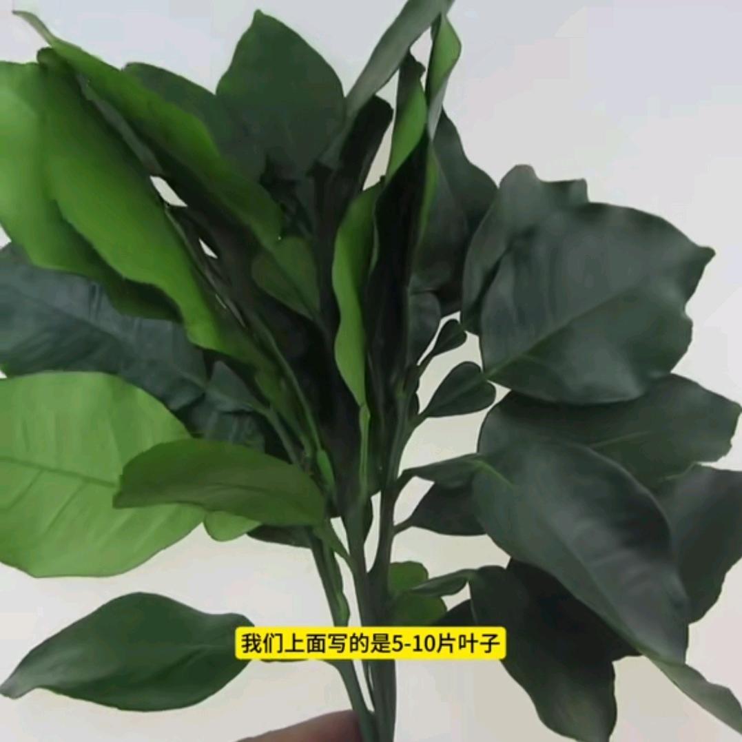 便民蔬果多超市