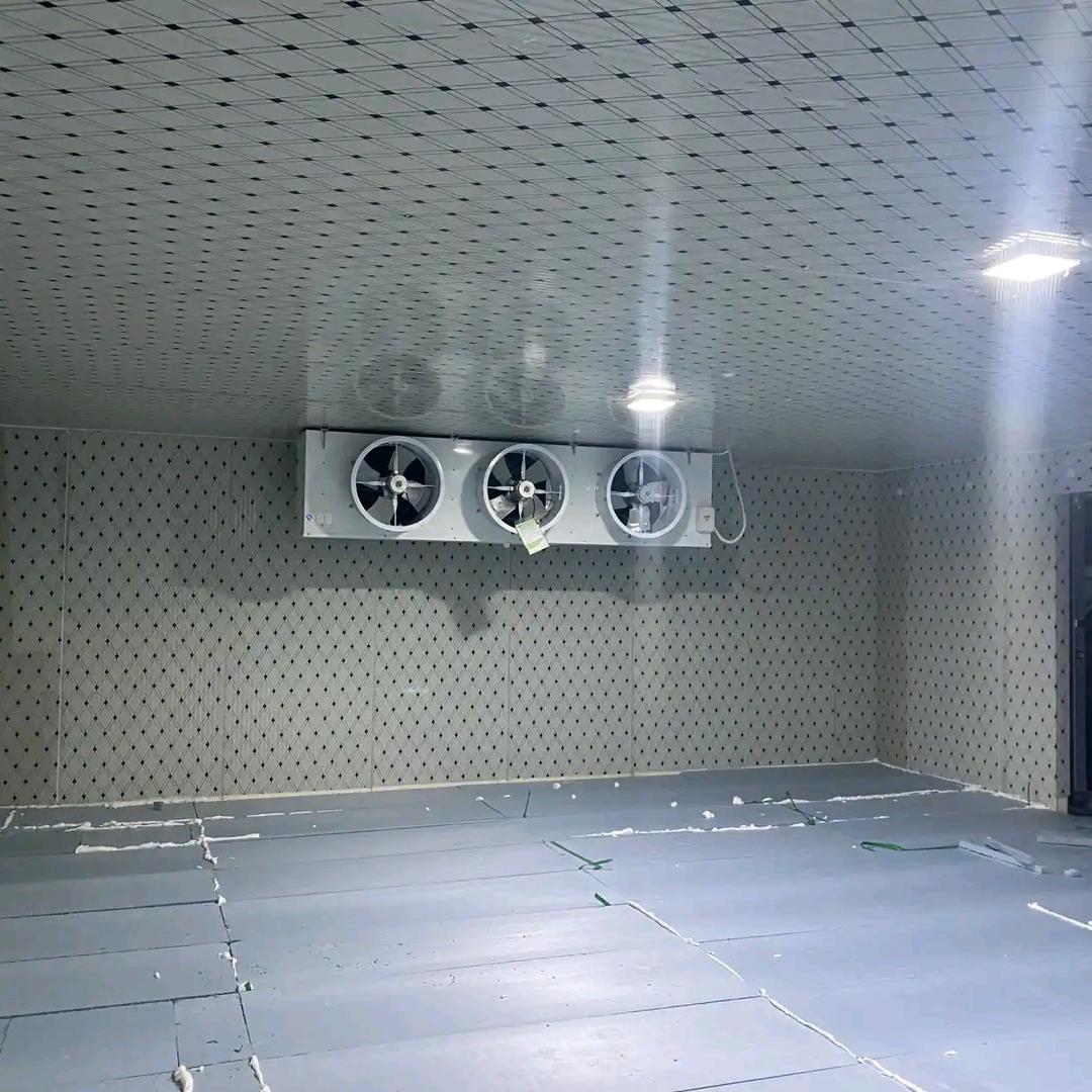 《昌都鑫奥制冷设备》牛宝宝