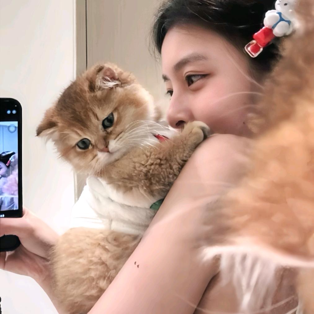 🐾小懒包ᥫᩣ