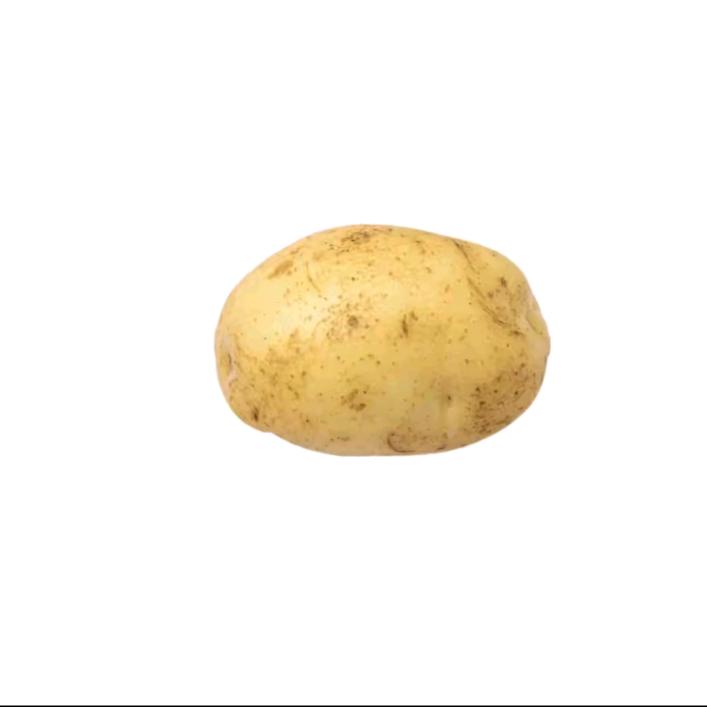 大土豆