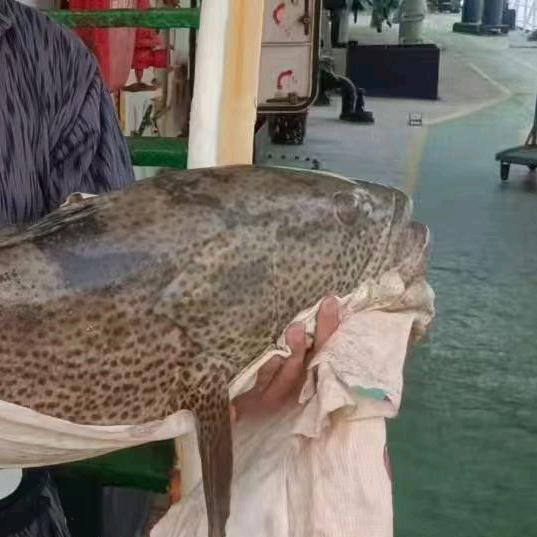 泉臻财百货商行