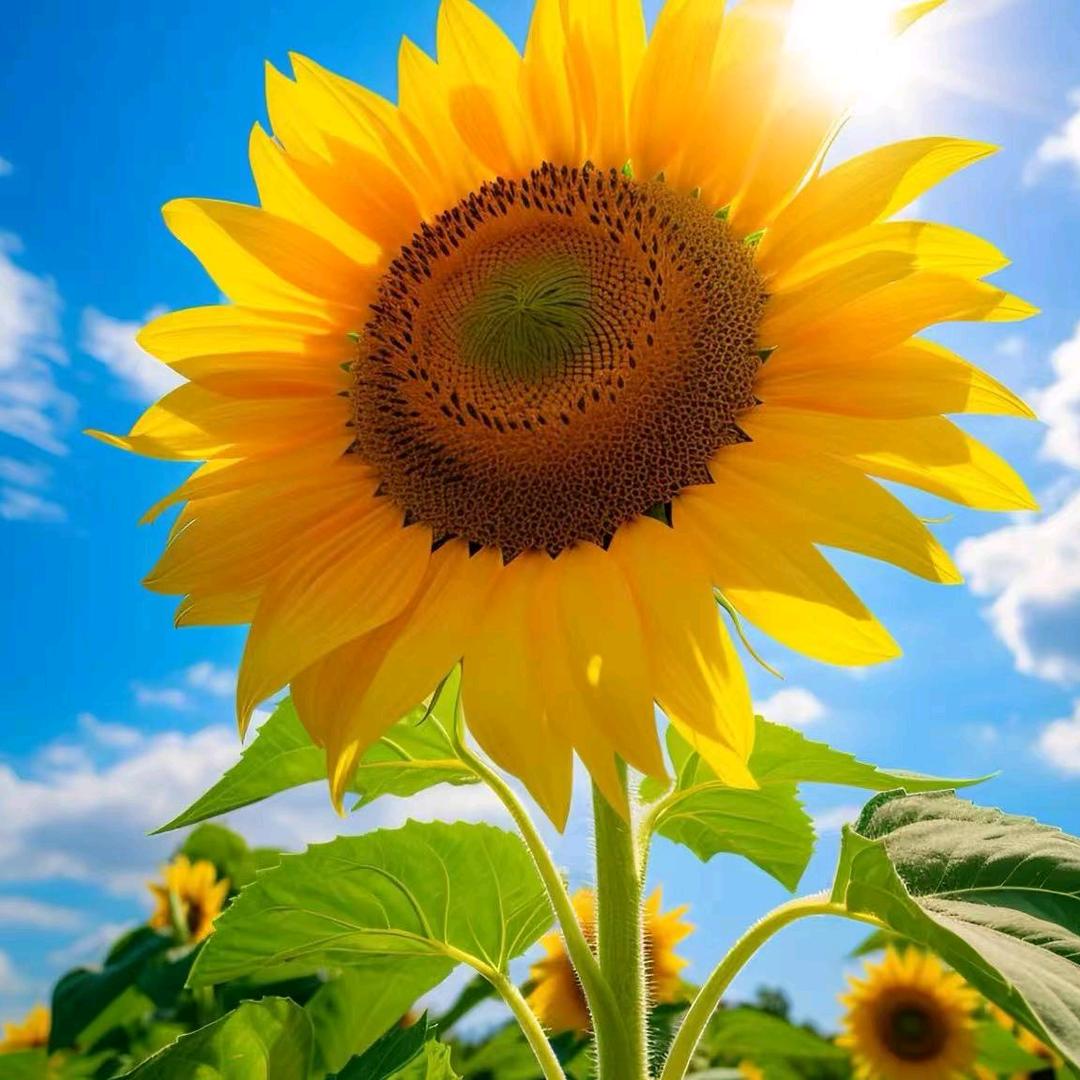 武功人在西安做培训