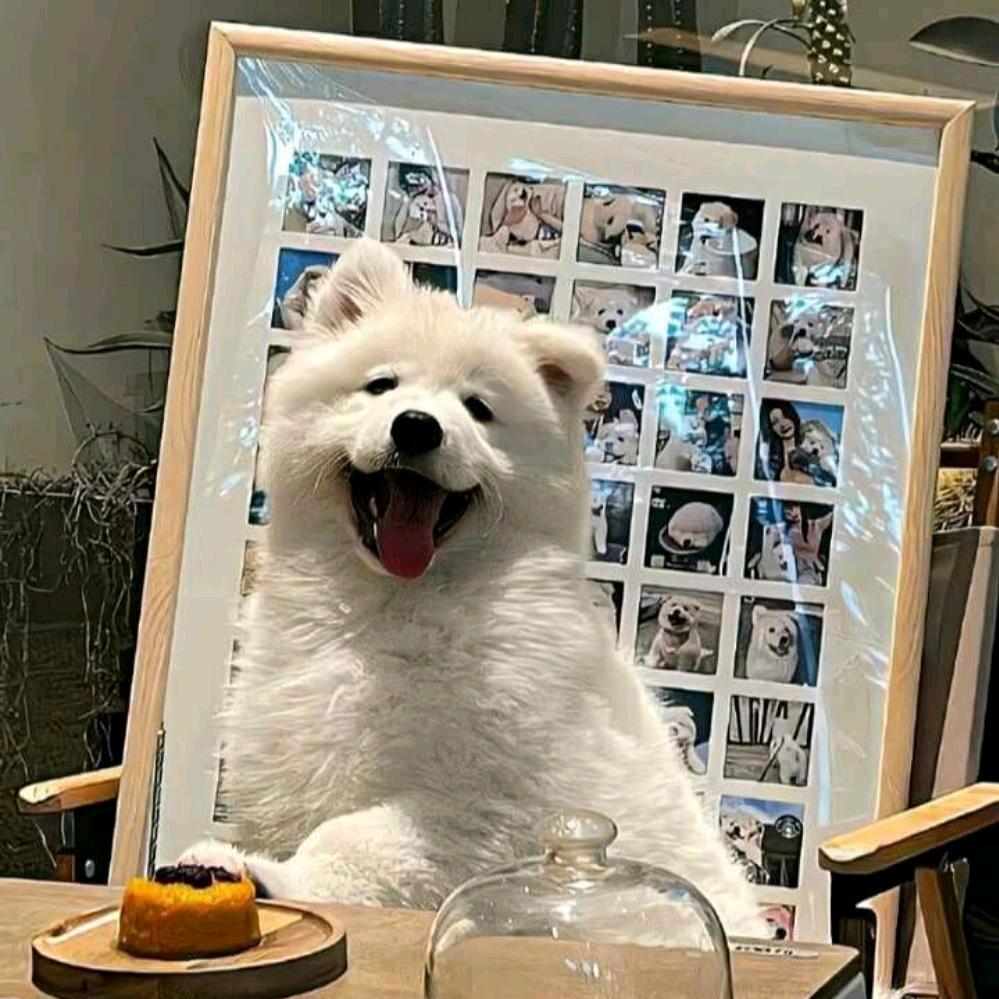 对外小王学长