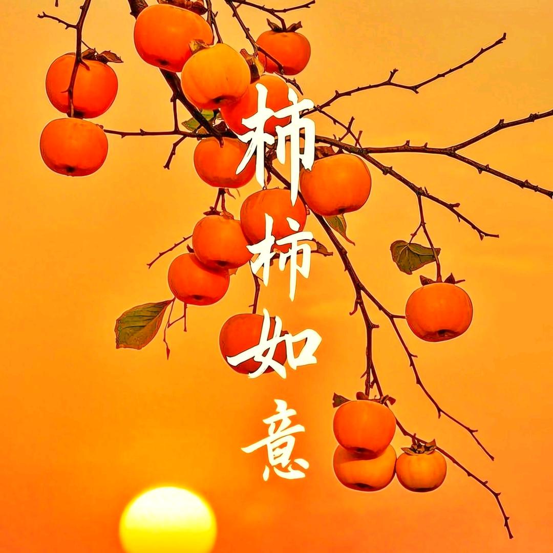 柿柿如意