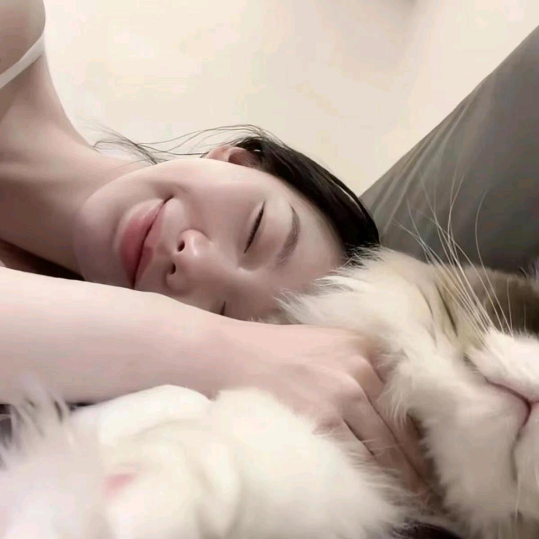 赵财猫🐱