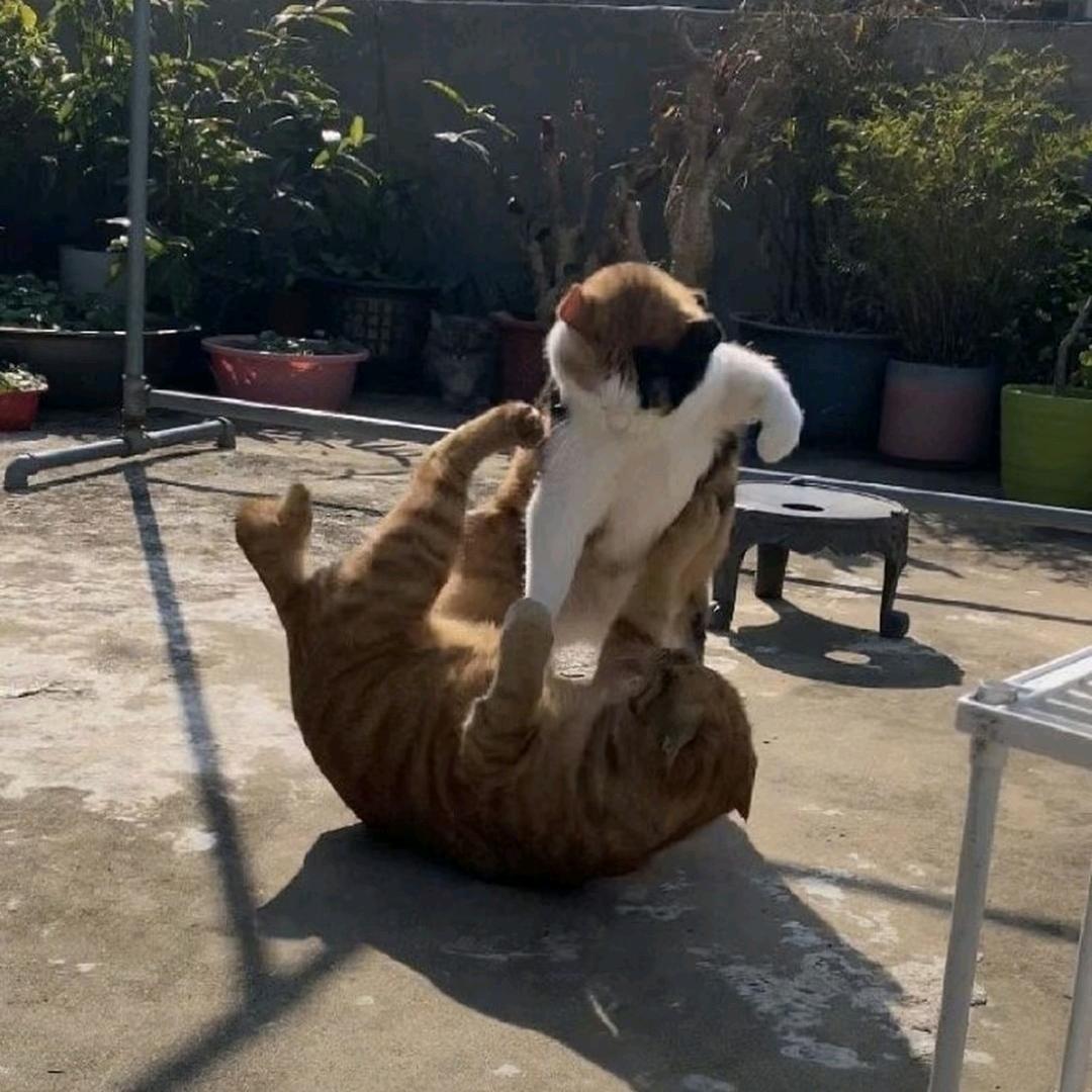 只是森迪