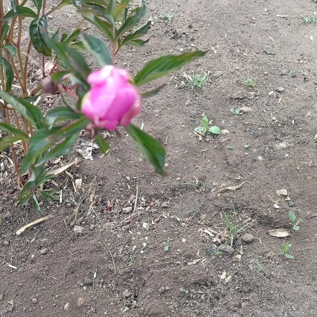 平平安安才是福