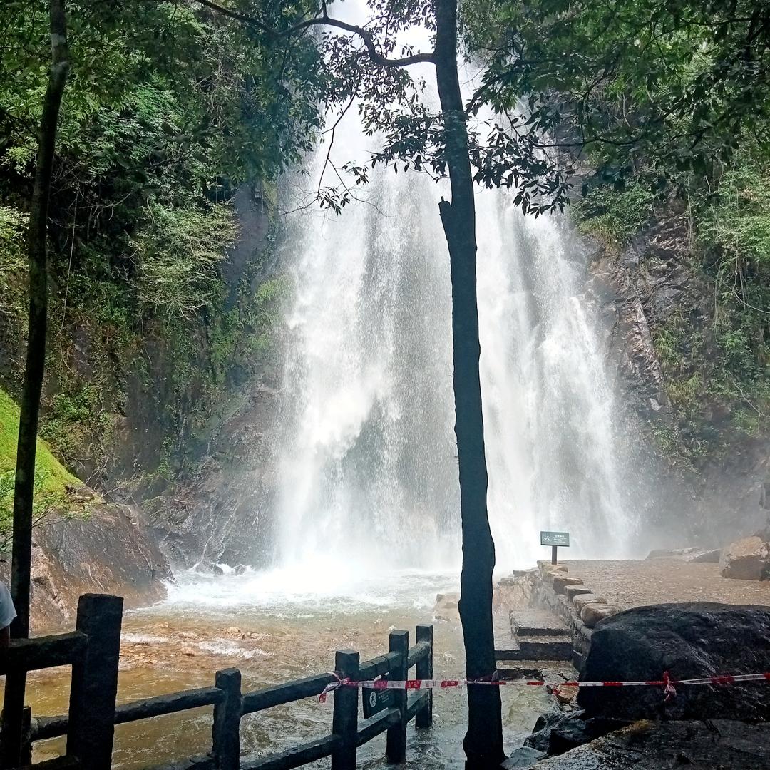 中西结合。我的专注女人健康