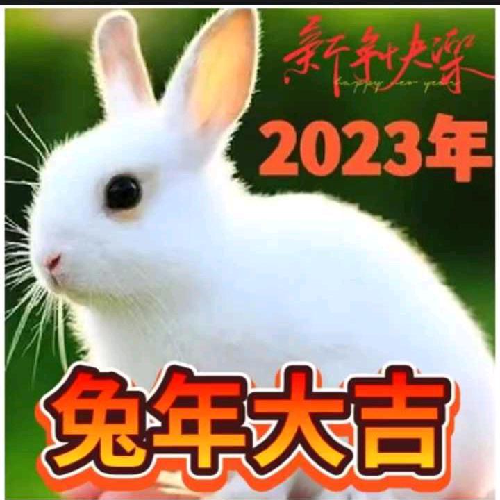 美丽的草原