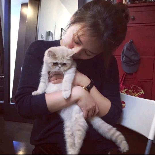 一匹来自天涯的猫子