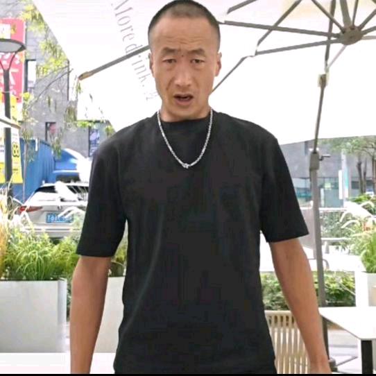 拳法王（）卧龙主打正能量