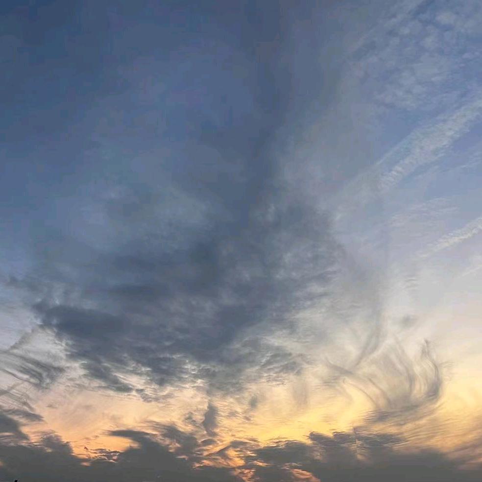 太白了