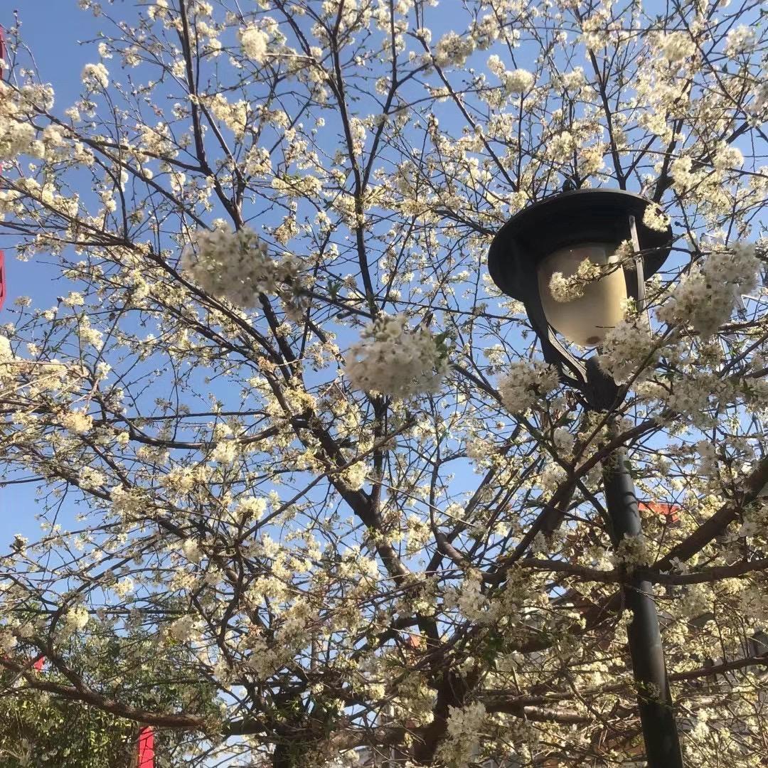 小涵