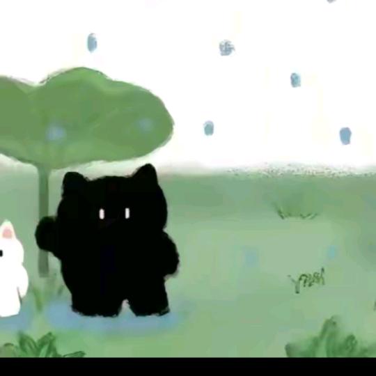 猫九
