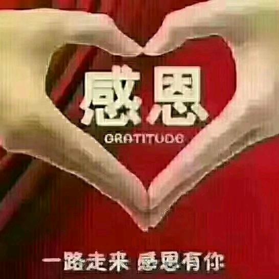 单身普通男儿