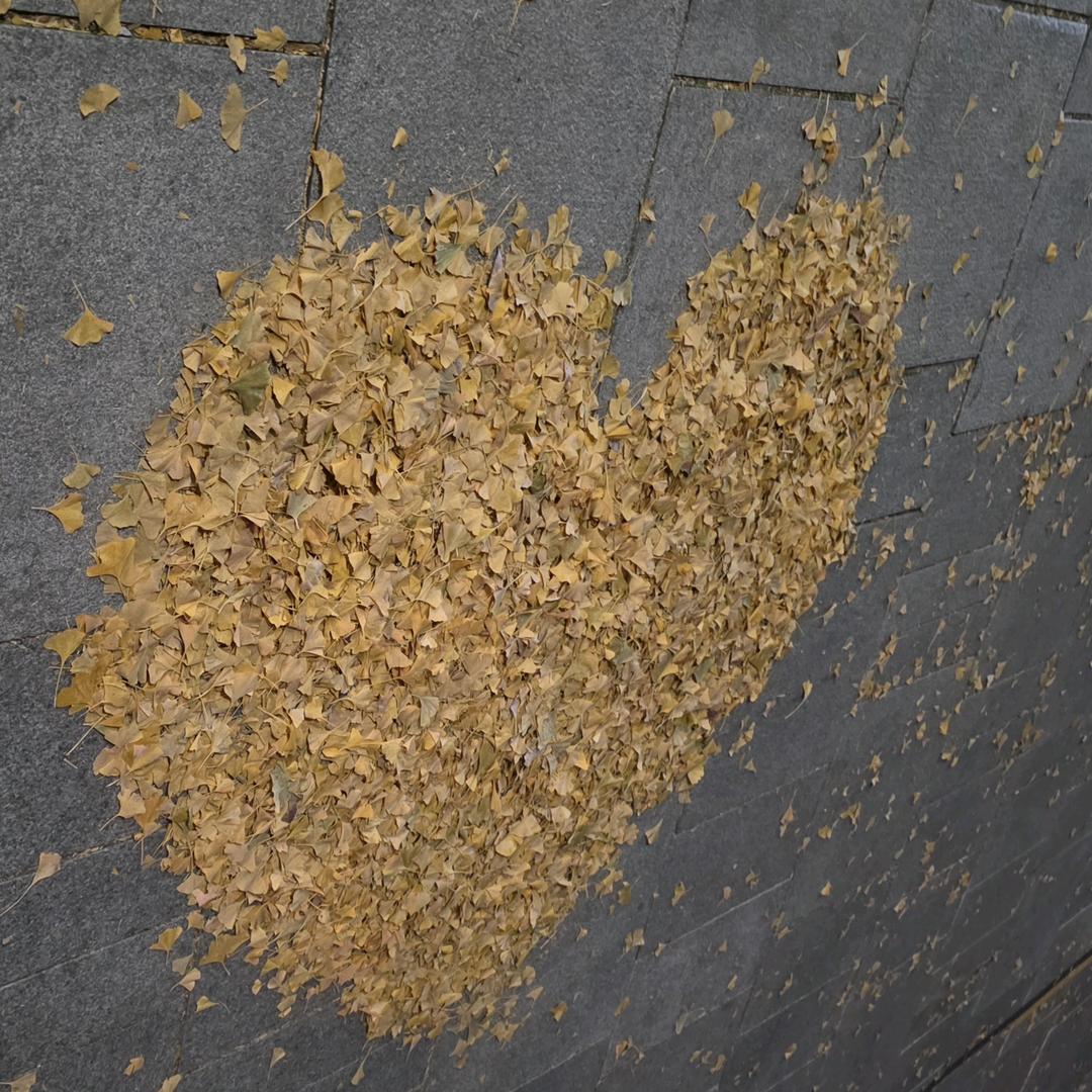 rukun(루군)🇰🇷