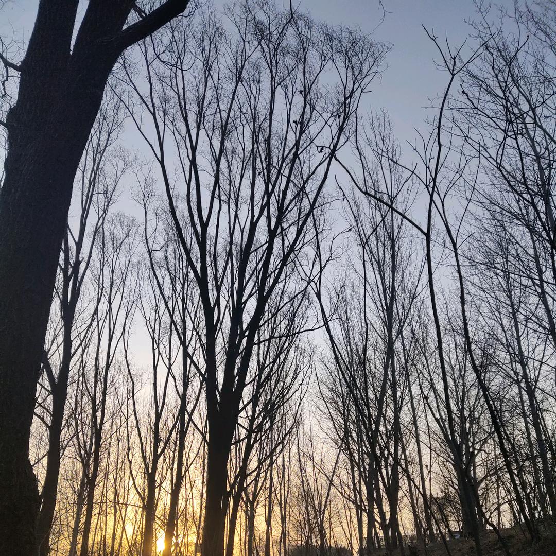 清晨的一缕阳光