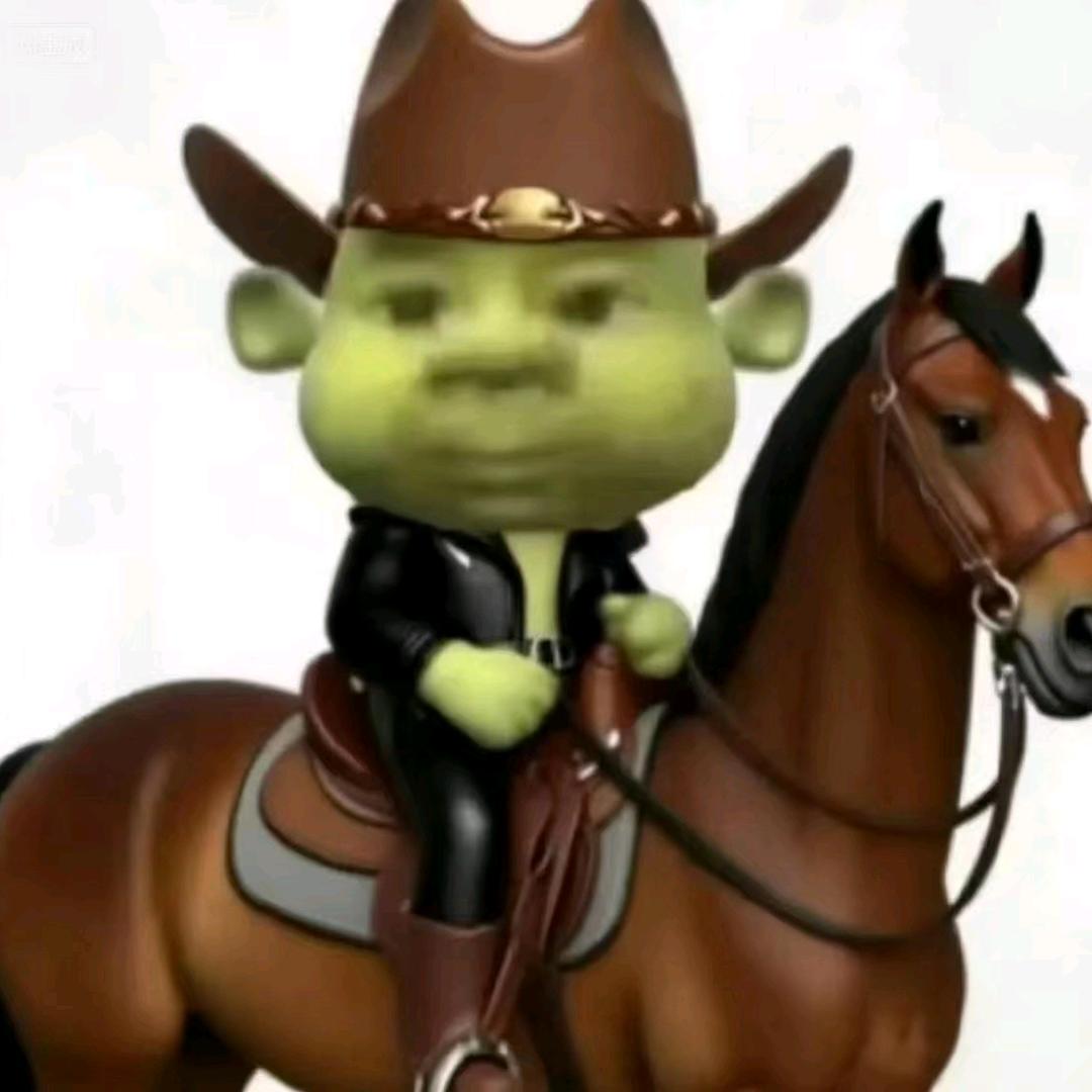 ぬ姐姐们的小i宝Ö（没米版本）