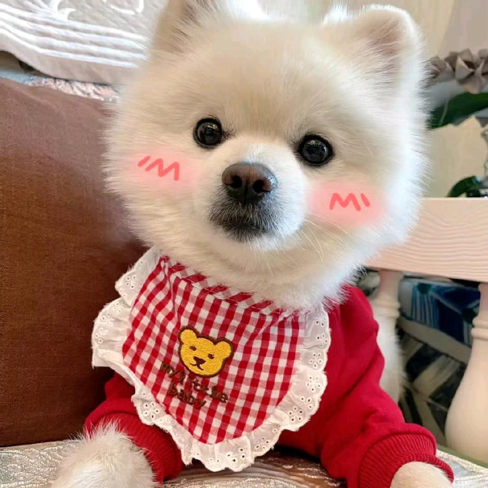 玥.Moon女装批发实体店