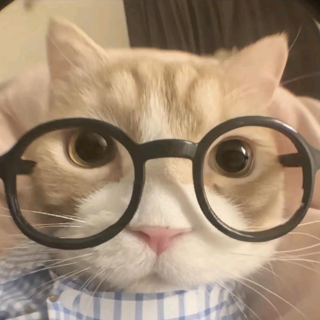 嘟嘟…
