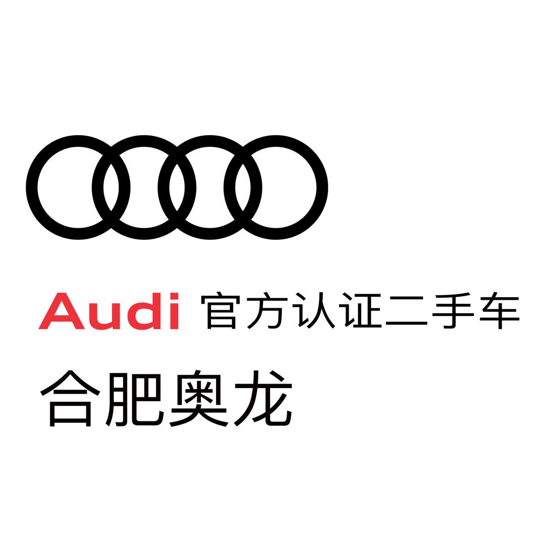 合肥奥龙二手车