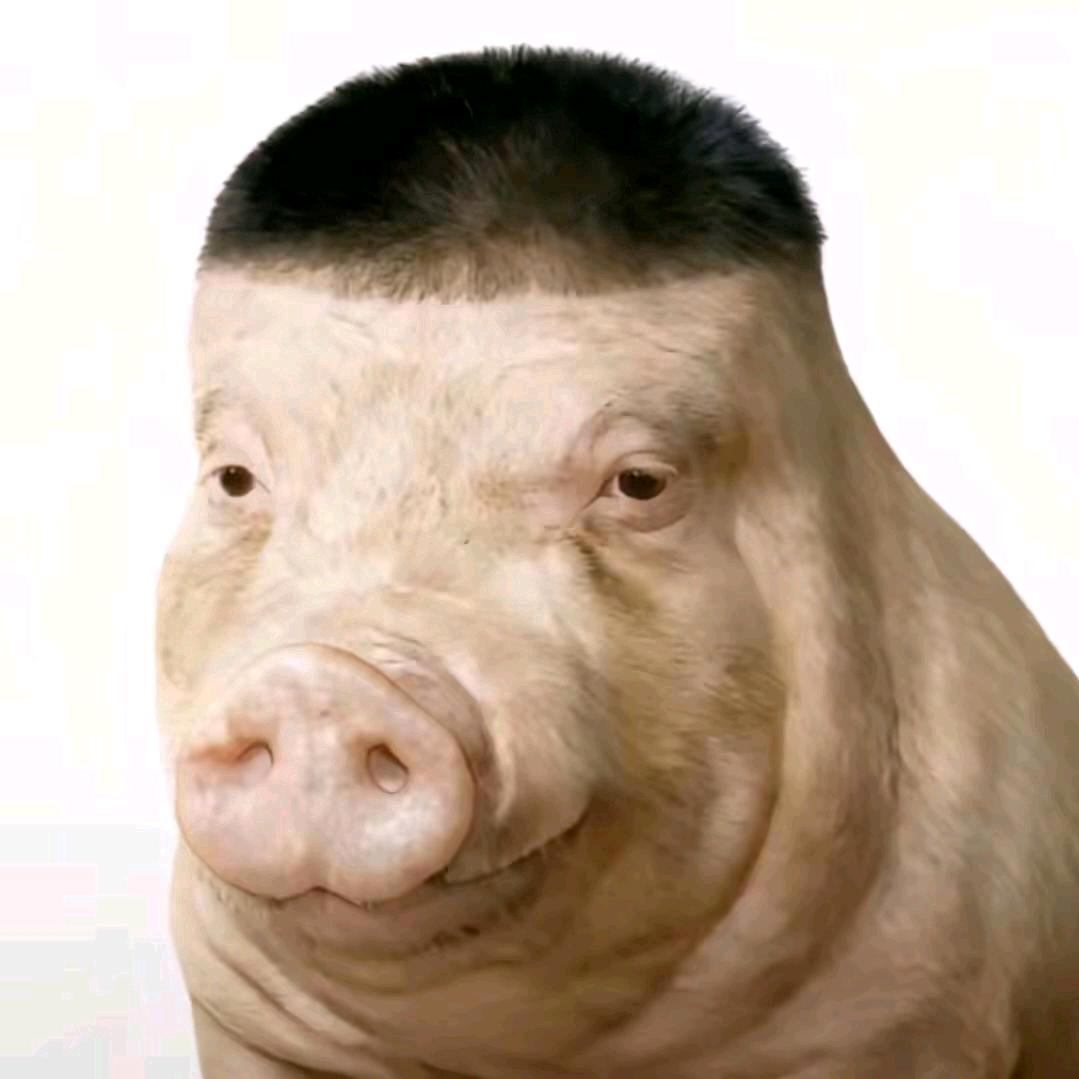 我吃完饭得躺着