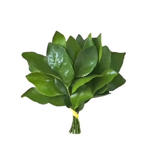 媄琦-JUN.18